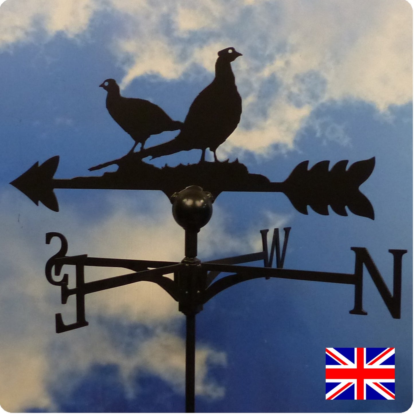 Birds Two