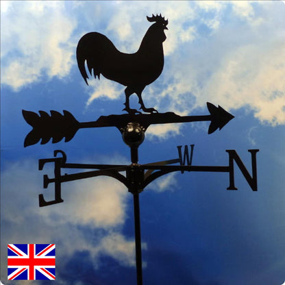 Birds One