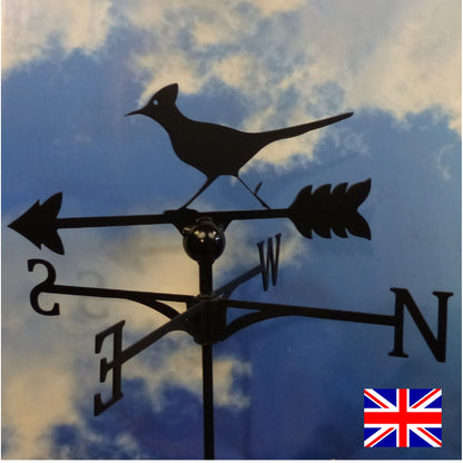 Birds One