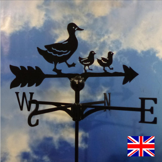 Birds One